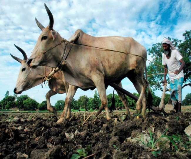 खेती के दौरान होने वाले हादसों की स्थिति में कृषक परिवारों की मदद के लिए उत्तर प्रदेश सरकार ने मुख्यमंत्री कृषक दुर्घटना सहायता योजना शुरू की है।