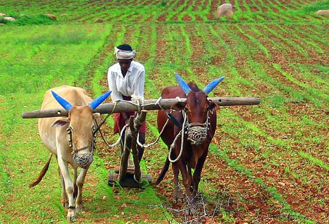 Central-govt-disbursed-50850-crores-to farmers-in-pm-kisan-yojana